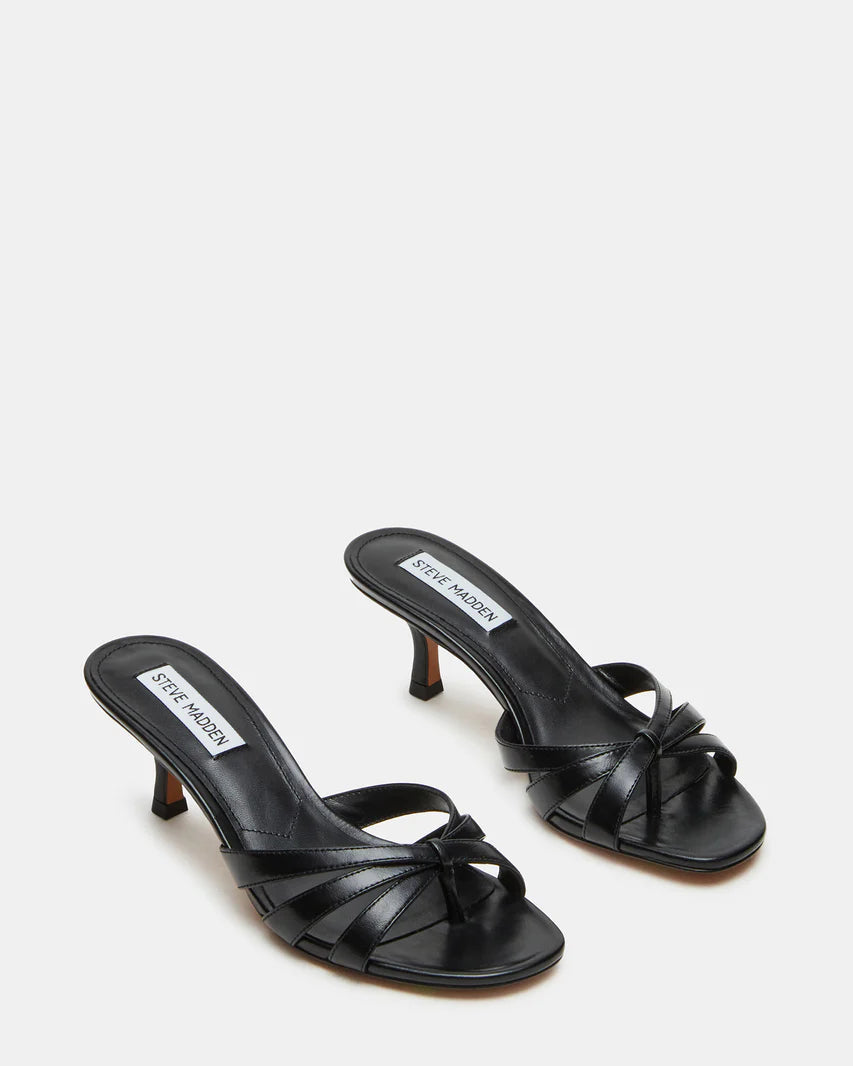 Cary shoes