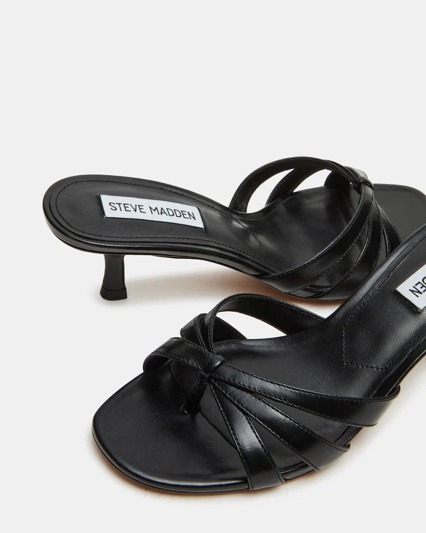 Cary shoes